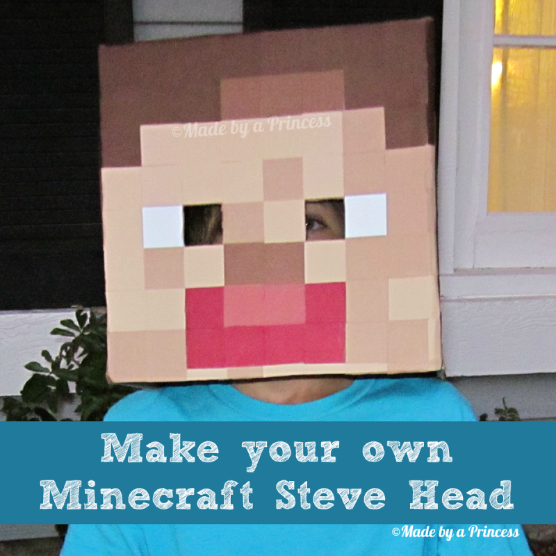 http://allthingswithpurpose.com/wp-content/uploads/2015/10/minecraft-steve-head-costume.png