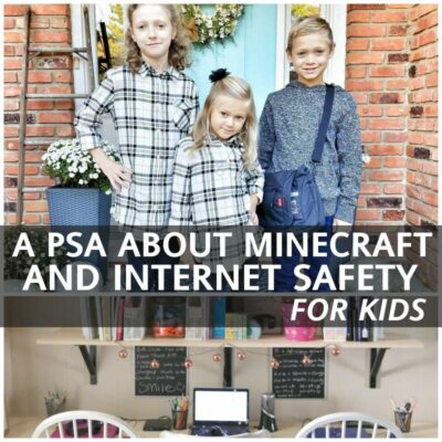A PSA about Minecraft and Internet Safety