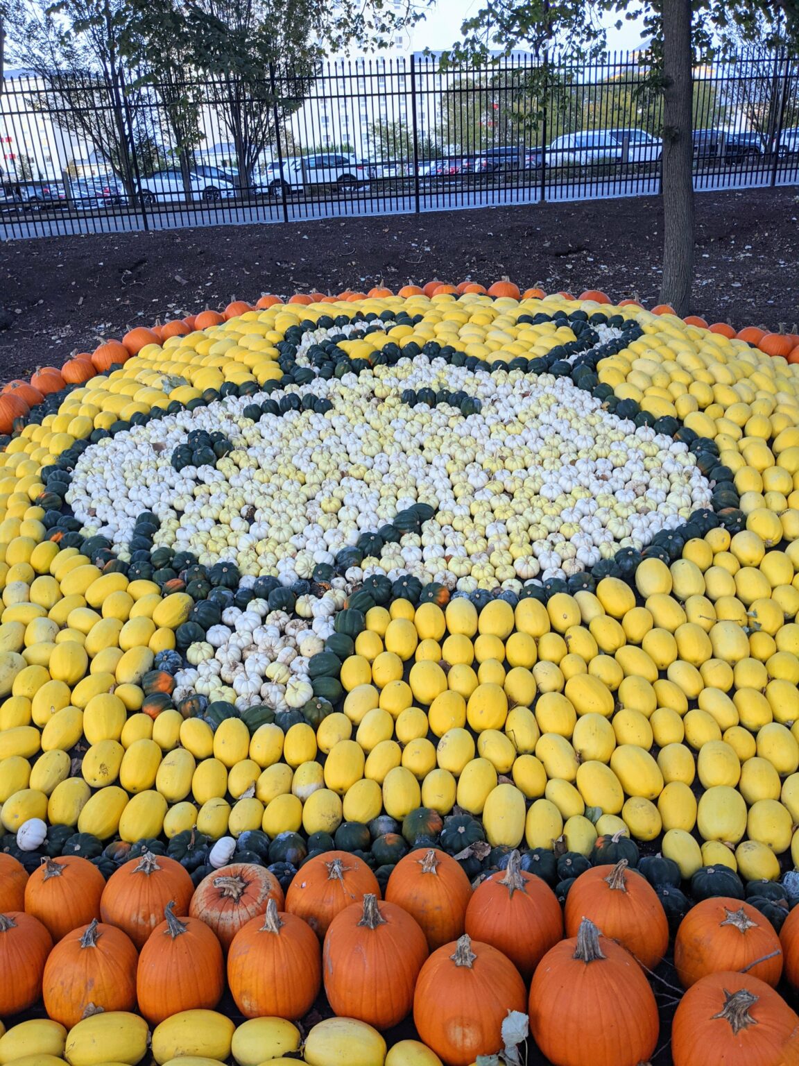 Everything You Need to Know for Cedar Point's HalloWeekends