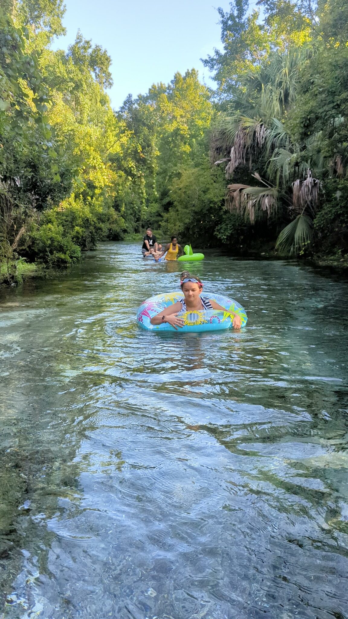 Beautiful Rock Springs Run at Kelly Park in Apopka, Florida